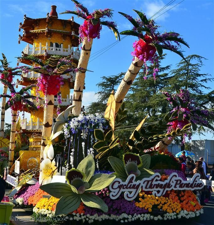 Rose parade packages